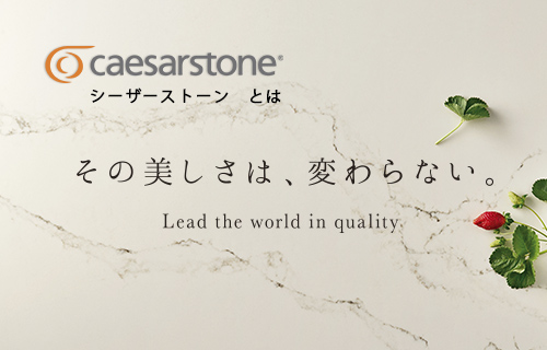 Caesarstoneとは