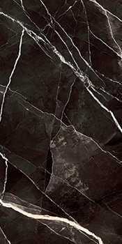 Calacatta Black