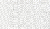 Shigre White