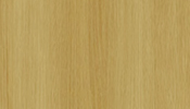 Norte Oak