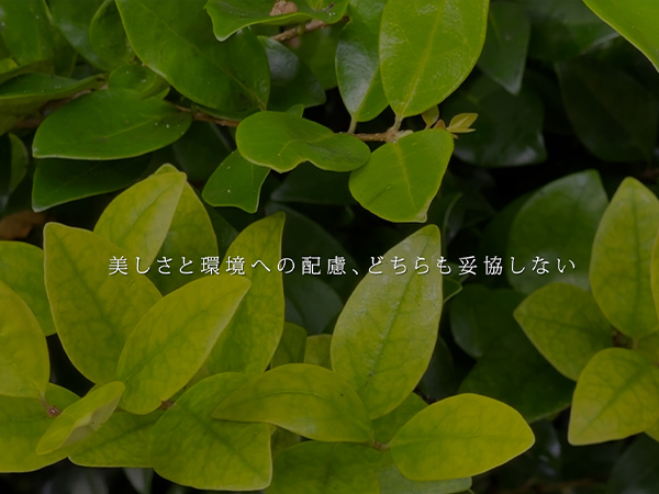 より良い未来を見据えて