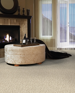 masland �J�[�y�b�g