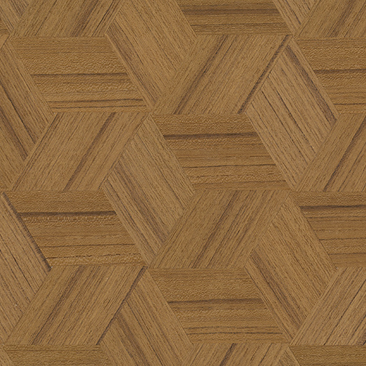 AJIRO-DOOR 網代ドア CH Almajiro 亀甲　チーク