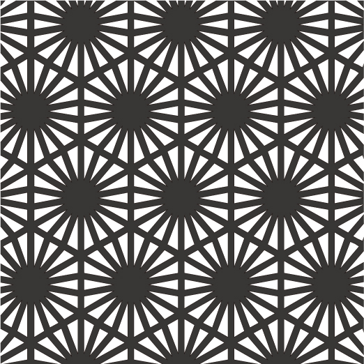 Ray Technicレイ テクニーク